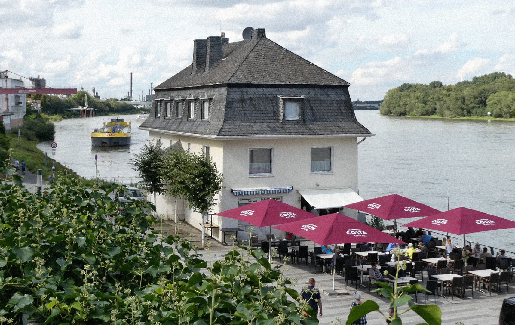 Am Rhein in Wesseling