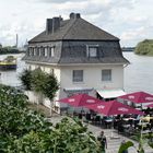 Am Rhein in Wesseling