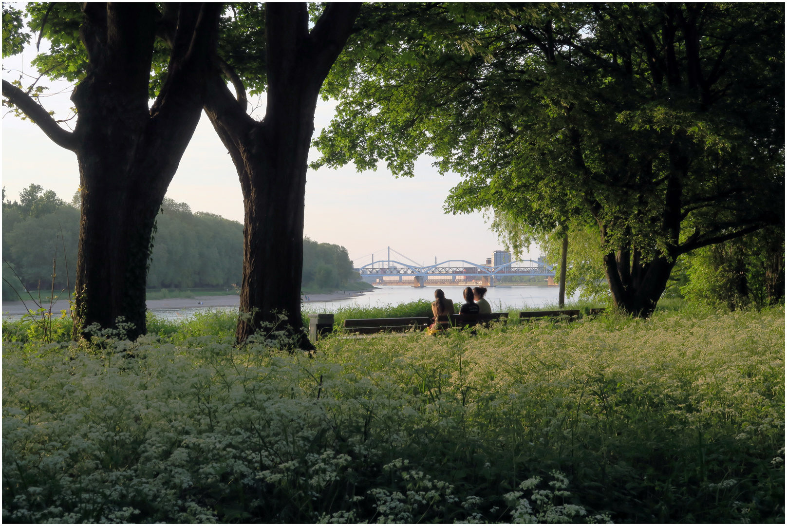 Am Rhein ist es schön