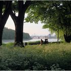 Am Rhein ist es schön