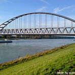 Am Rhein ist`s am schönsten