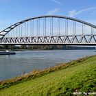 Am Rhein ist`s am schönsten