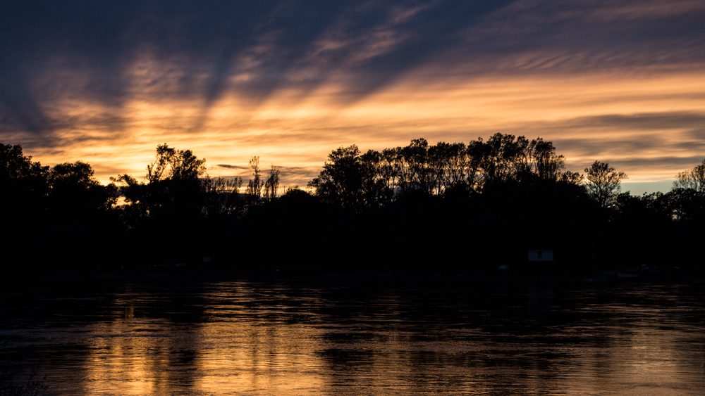 Am Rhein Leopoldshafen 20131023