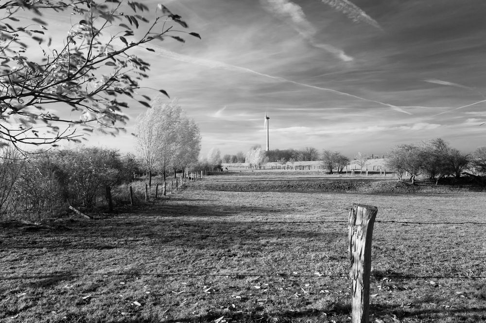 Am Rhein mit Infrarot-Filter