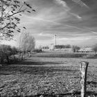 Am Rhein mit Infrarot-Filter