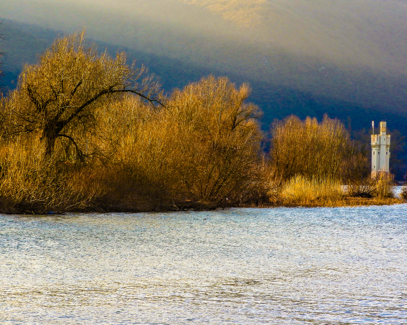 Am Rhein-Nahe-Eck in Bingen