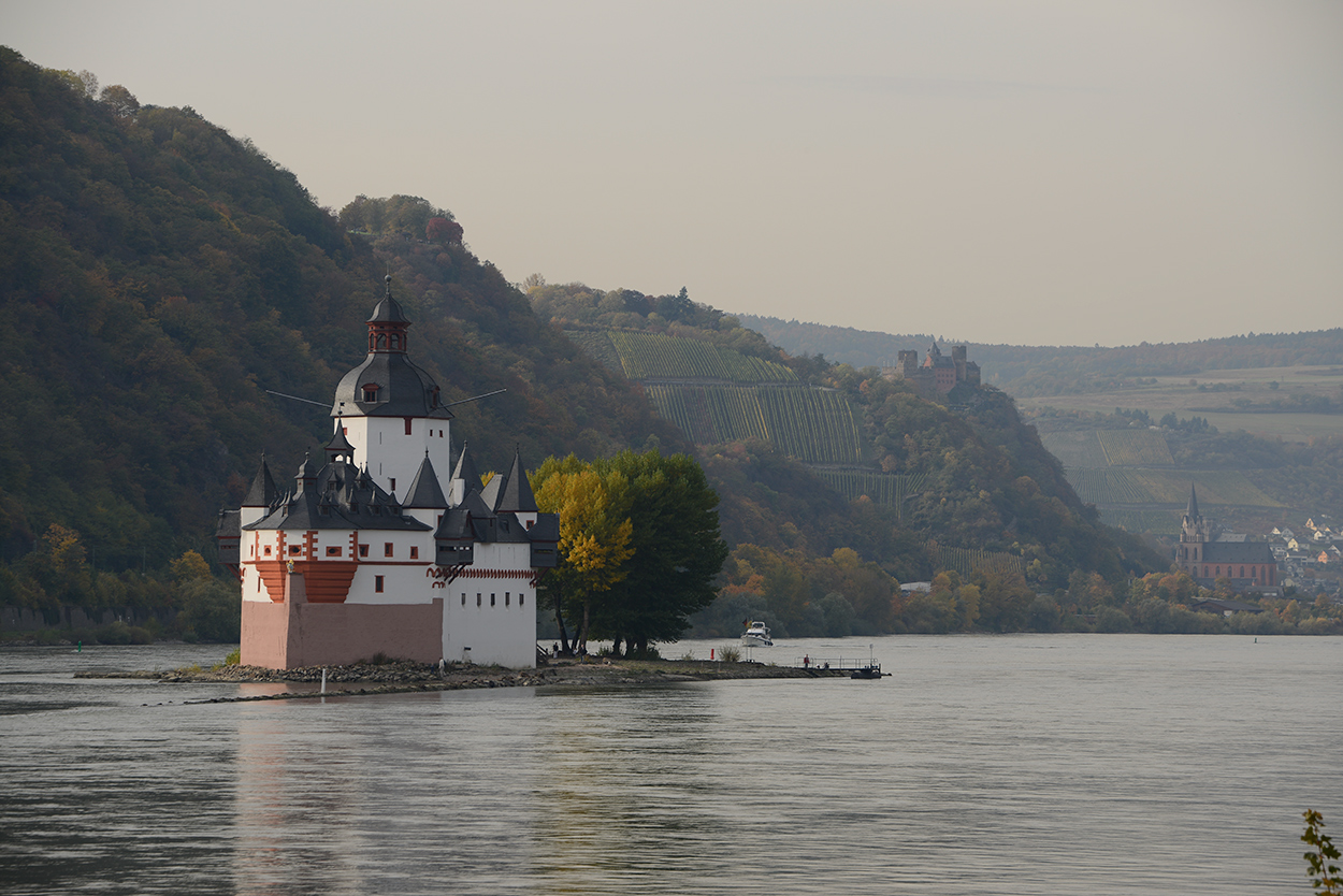 Am Rhein neutral