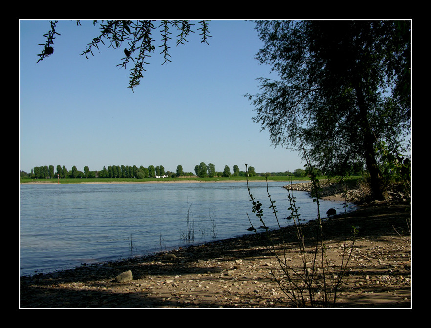 ...am Rhein so schön !