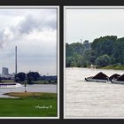 Am Rhein - vor der Kulisse des Kohlekraftwerks  Walsum