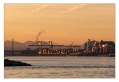 Am Rhein zum Sonnenaufgang