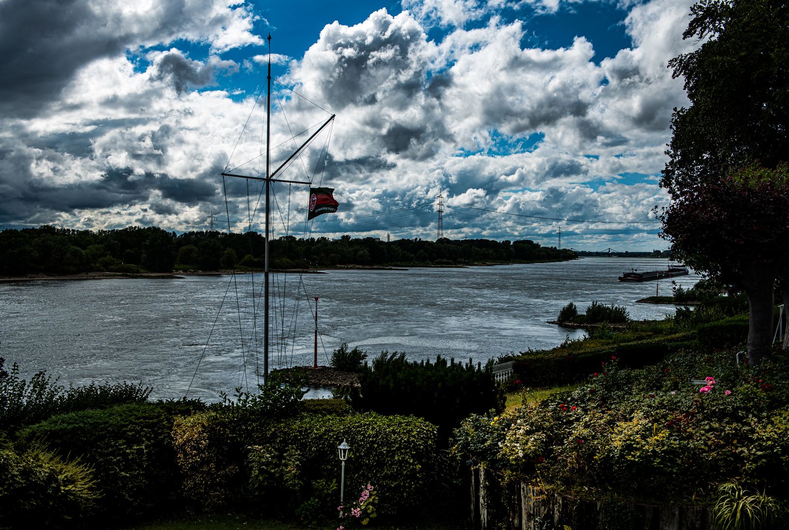 Am Rhein.............DSC_3246