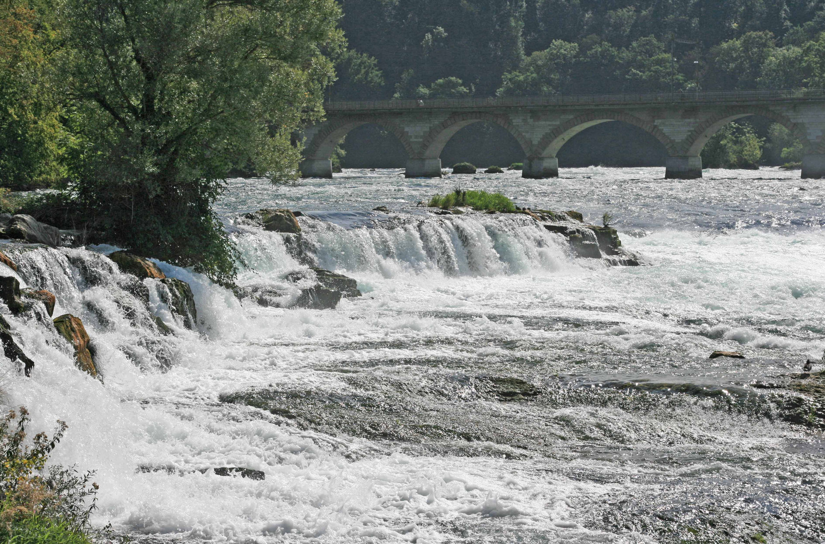 am Rheinfall