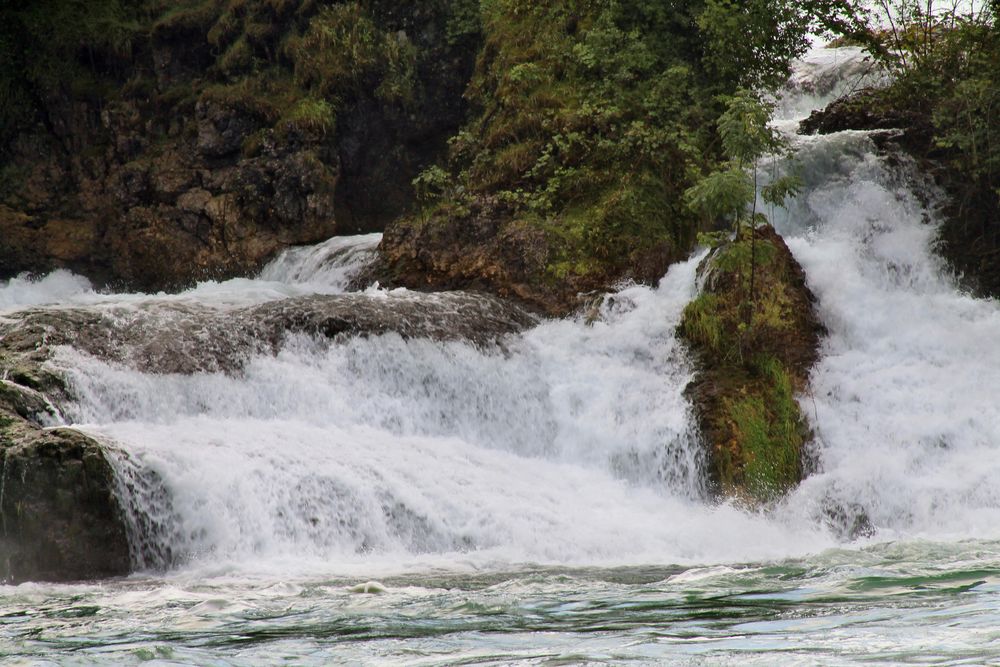 am Rheinfall 2