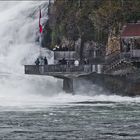 AM RHEINFALL #2