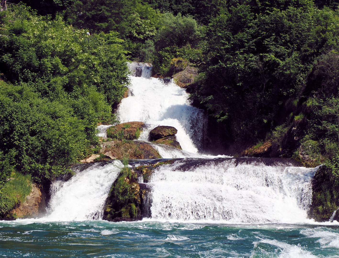 Am Rheinfall…