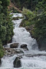 am Rheinfall