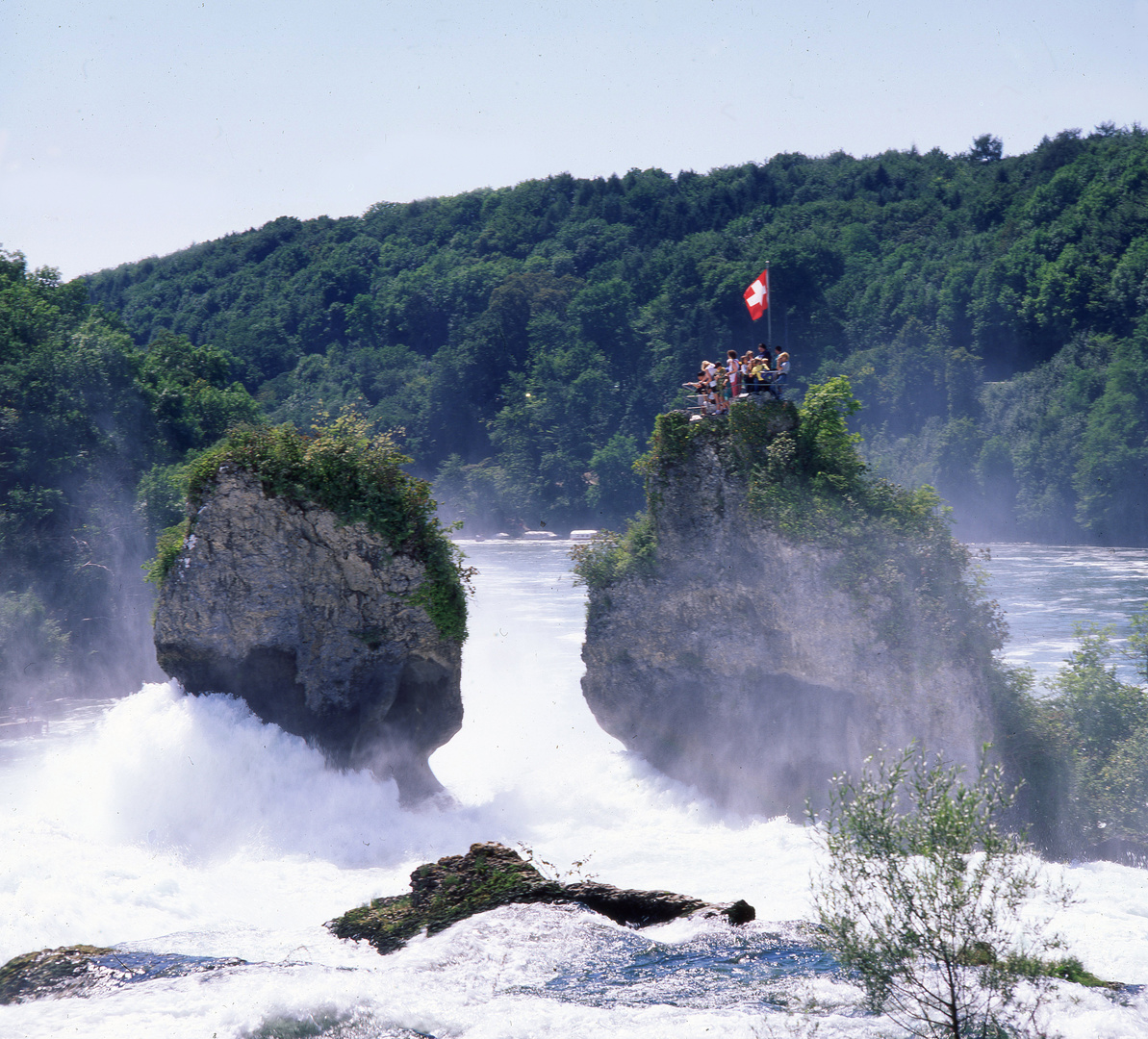 Am Rheinfall bei Schaffhausen