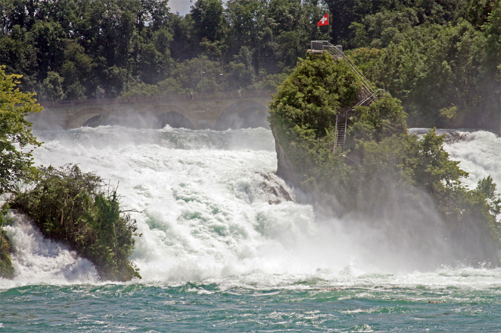 Am Rheinfall im Juni 2012