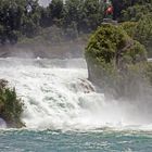 Am Rheinfall im Juni 2012