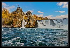 Am Rheinfall in Schaffhausen #2