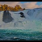 Am Rheinfall in Schaffhausen #3