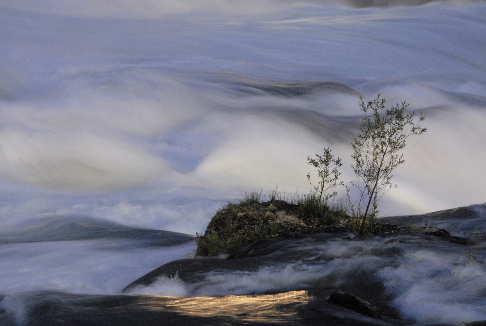 Am Rheinfall IV