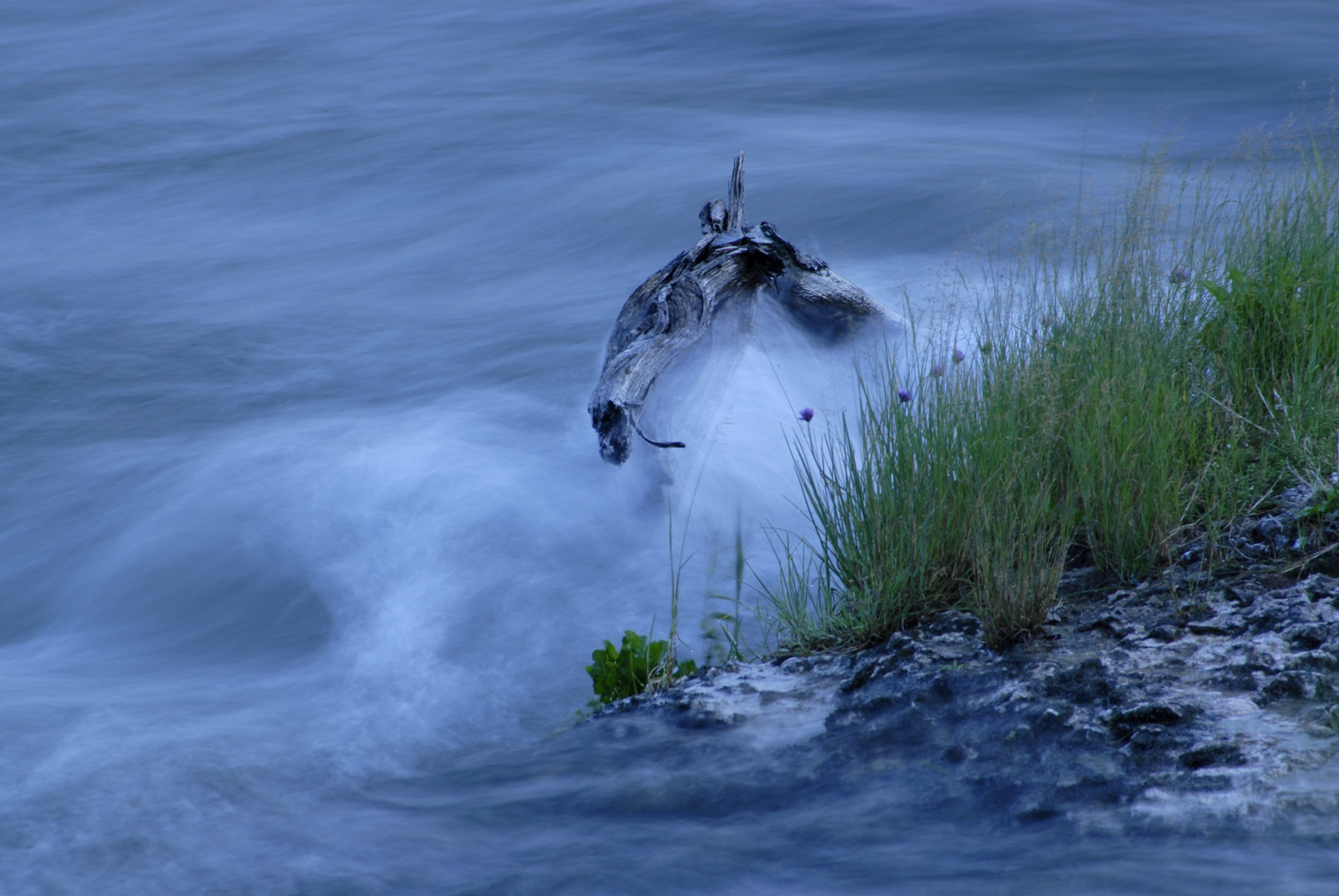 Am Rheinfall IV