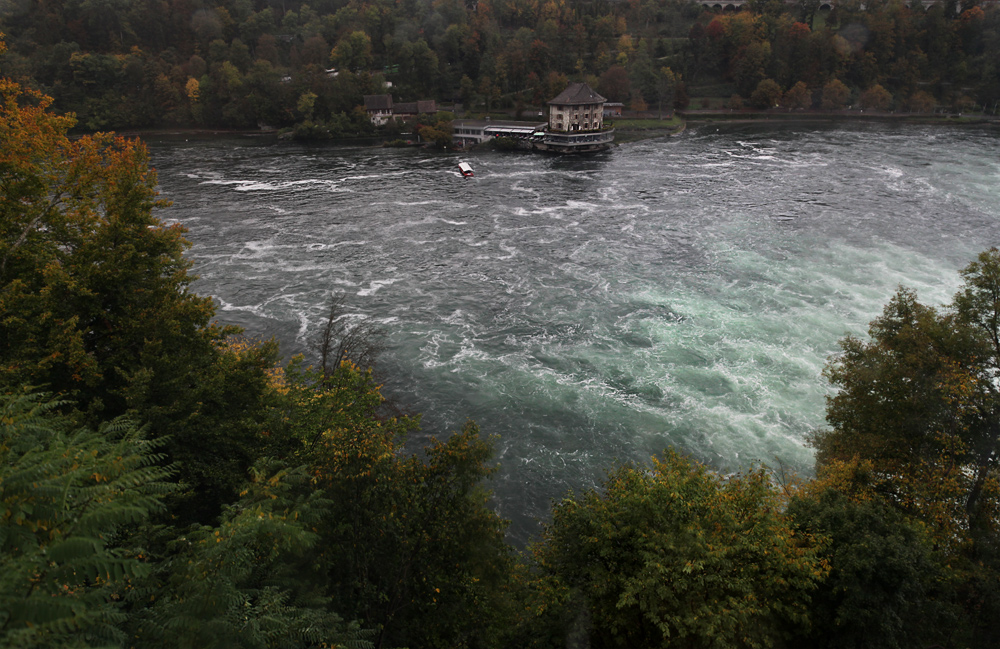 am Rheinfall von Schaffhausen