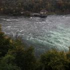 am Rheinfall von Schaffhausen