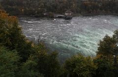 am Rheinfall von Schaffhausen