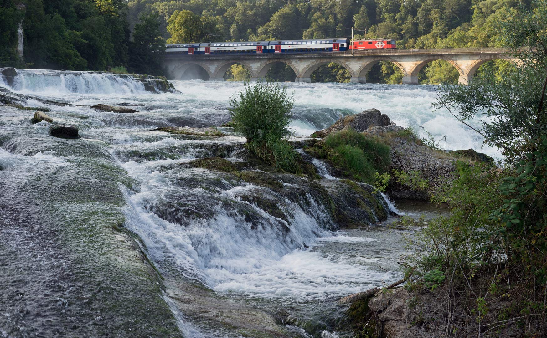 Am Rheinfall von Schaffhausen