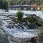 Am Rheinfall von Schaffhausen