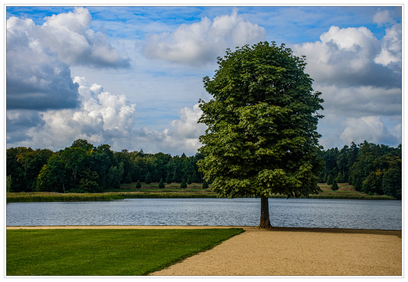 Am Rheinsberger See