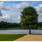 Am Rheinsberger See