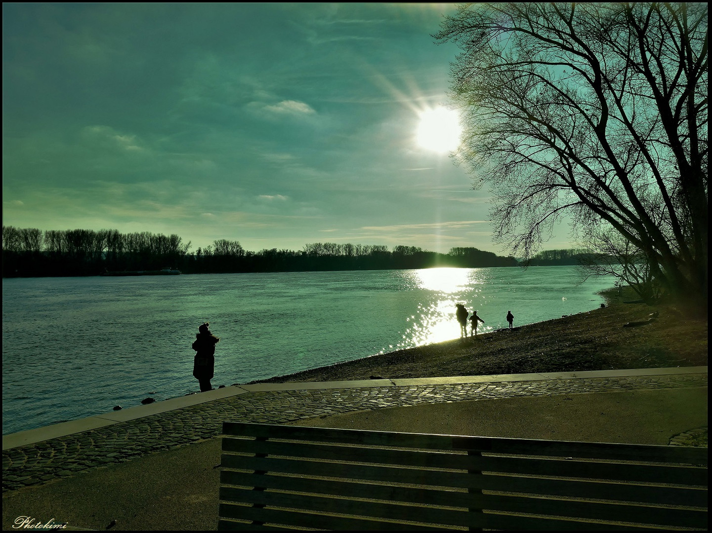 Am Rheinufer in der Nachmittagssonne