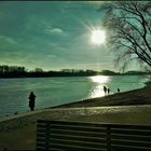 Am Rheinufer in der Nachmittagssonne