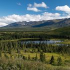 Am Richardson Highway