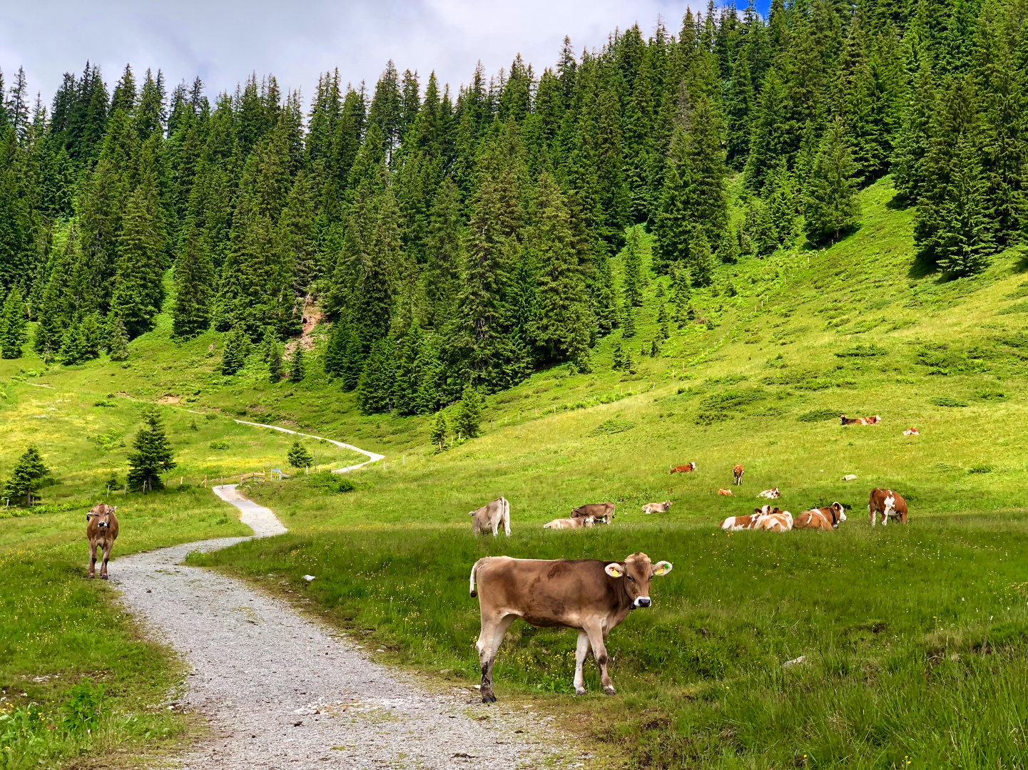 Am Riedberger Horn