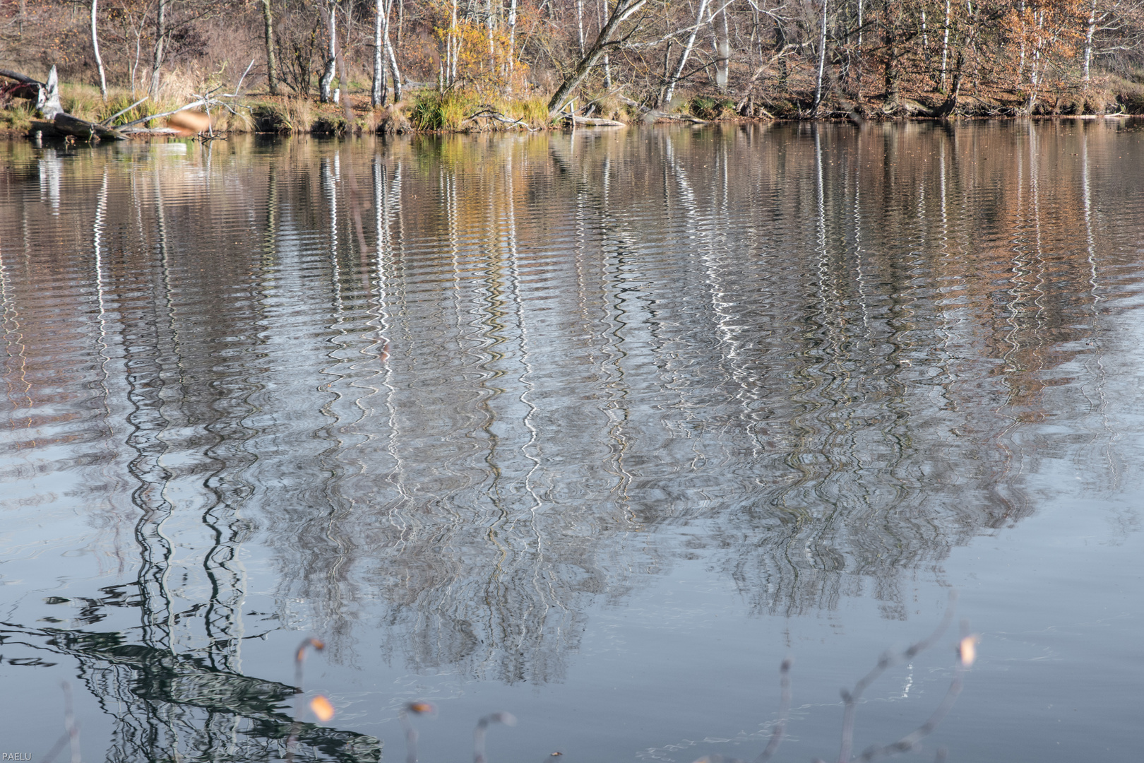 am Riedsee