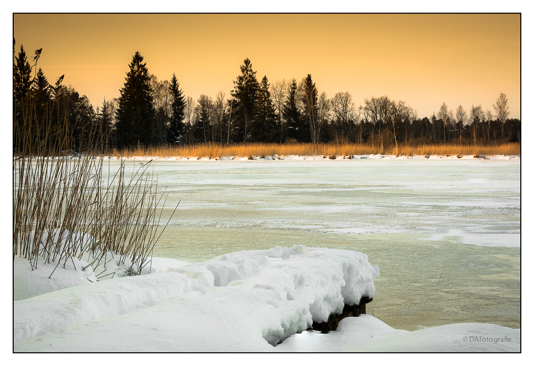 am Riedsee II