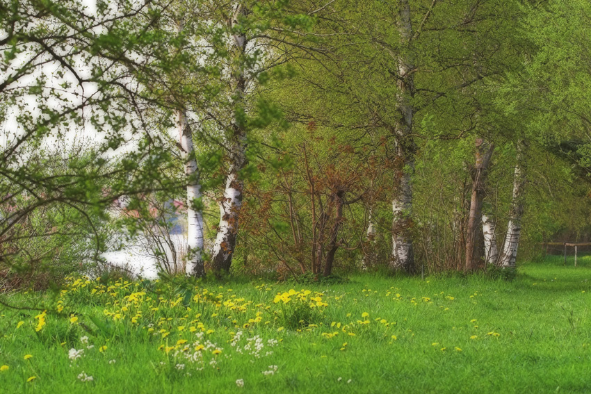 Am Riegsee im Pfaffenwinkel