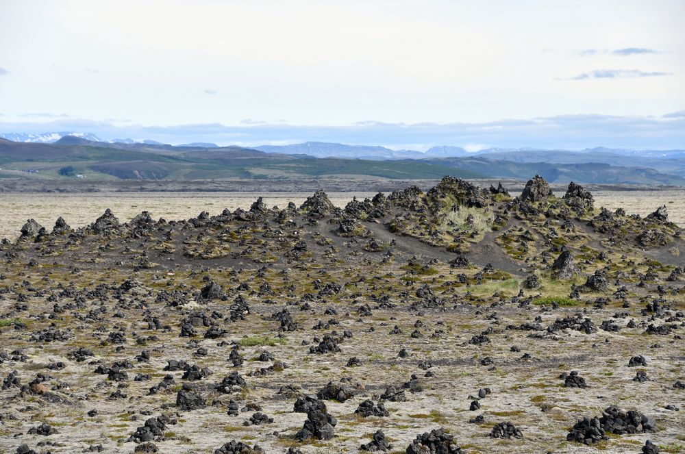 Am riesigen Lavafeld Eldhraun im Südosten Islands