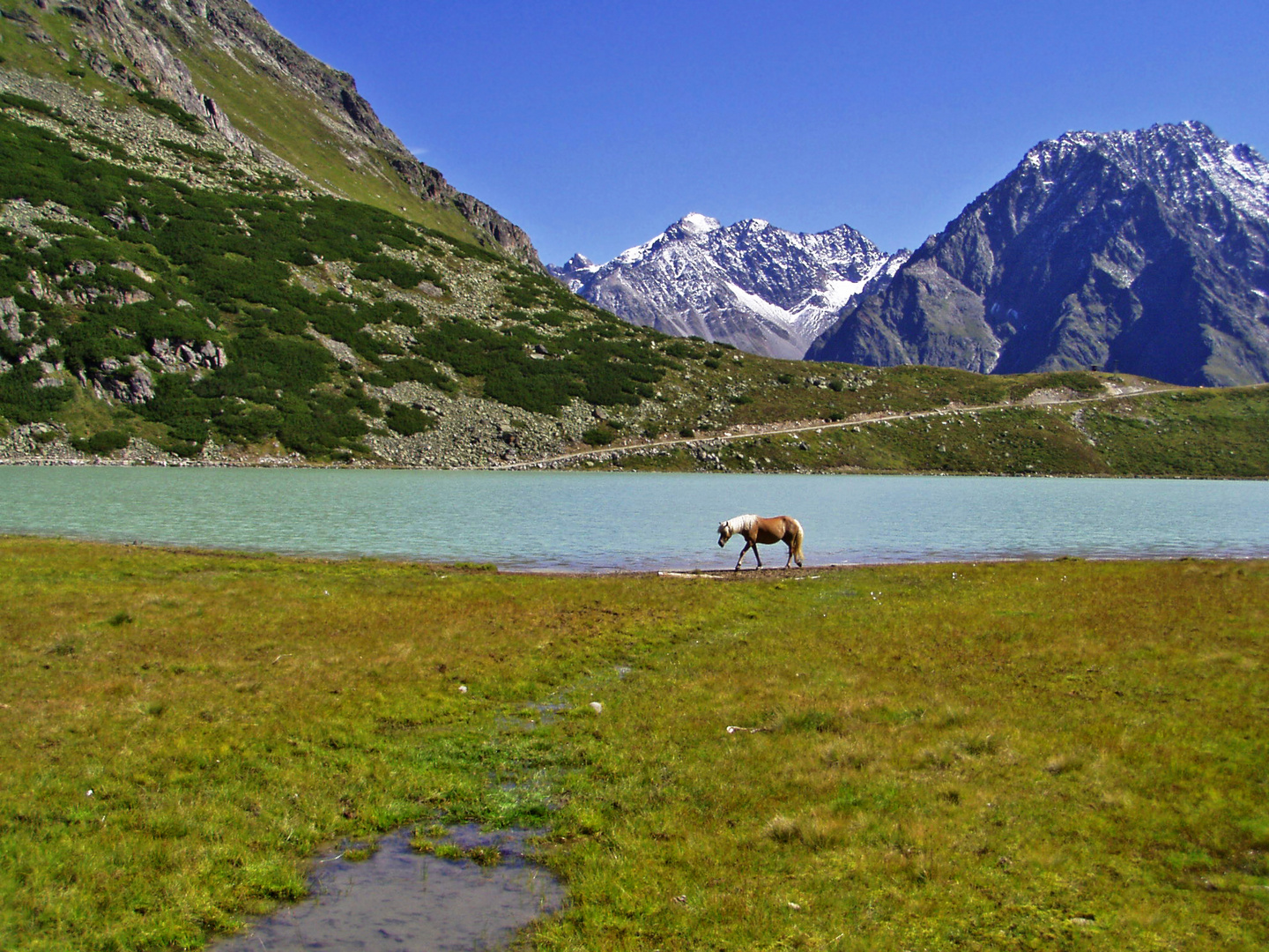 Am Riffelsee