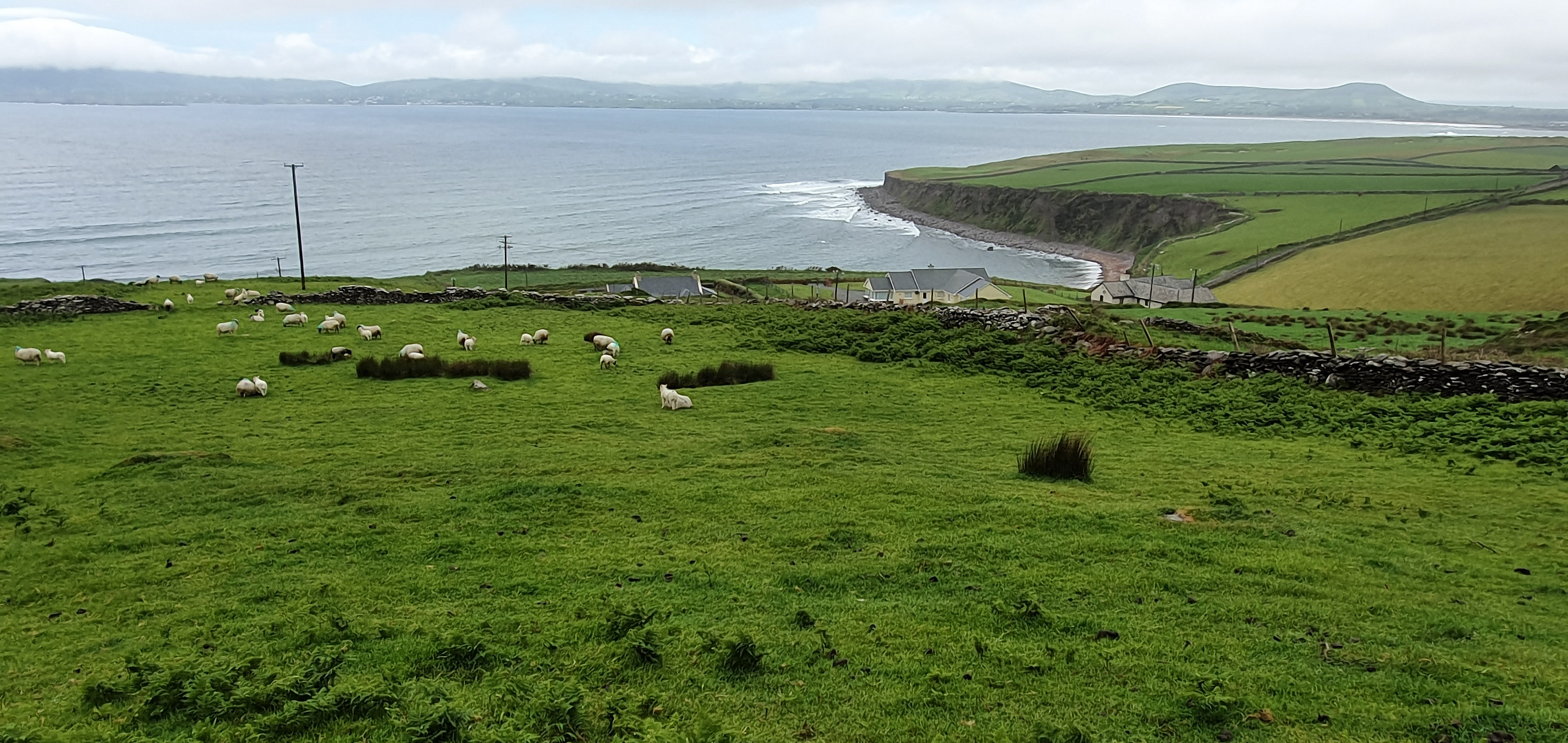 Am Ring of Kerry