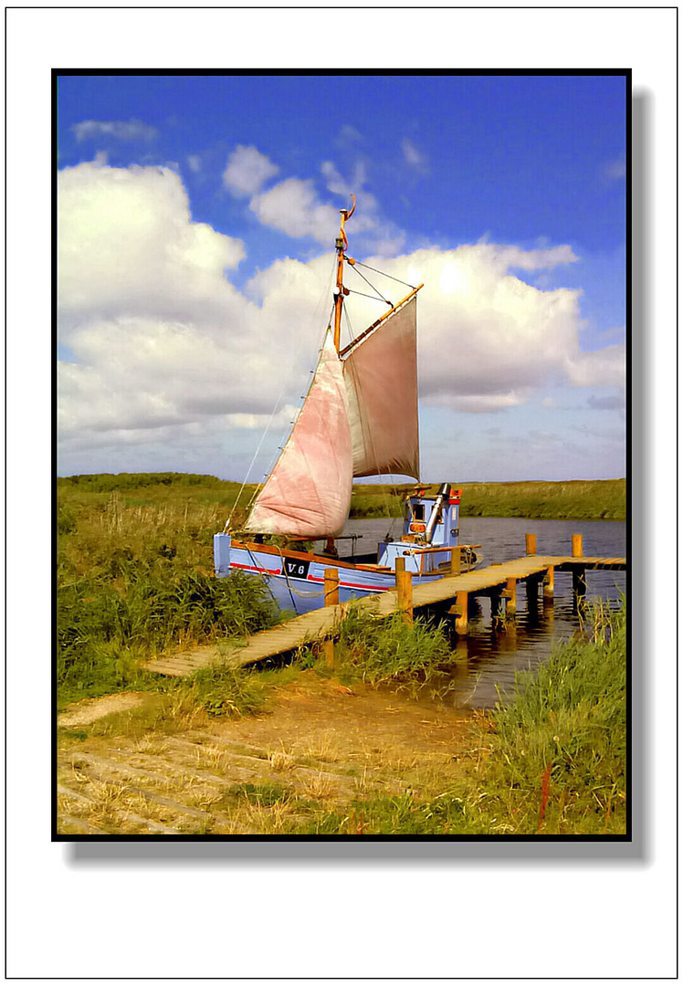 Am Ringkøbing Fjord