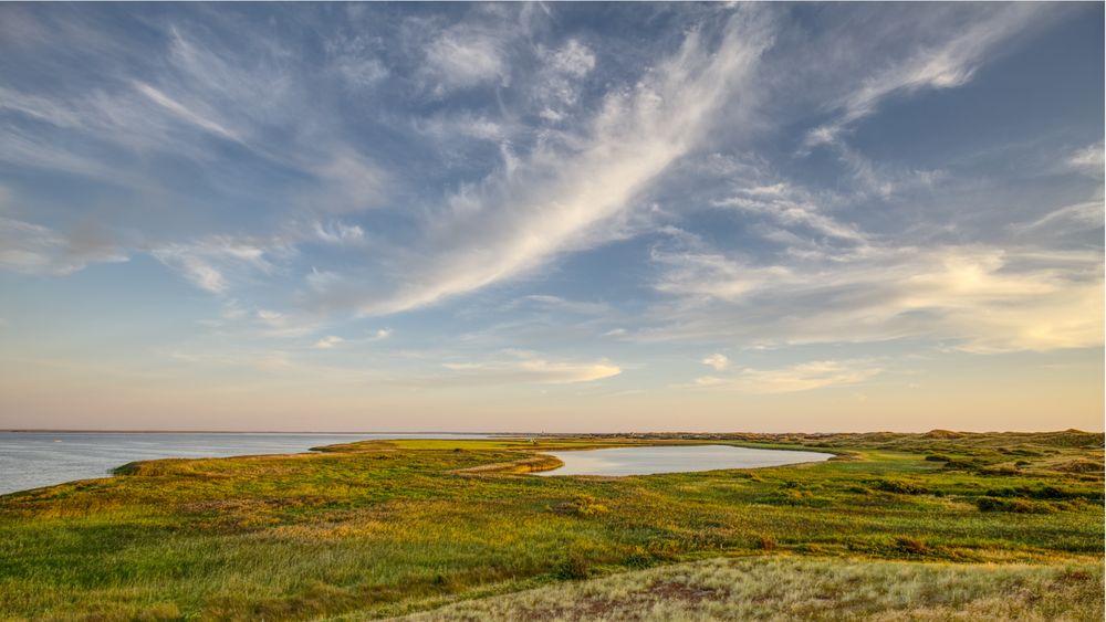 *** Am Ringkøbing Fjord ***