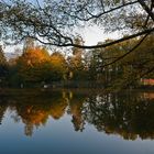 Am Ringwiler Weiher