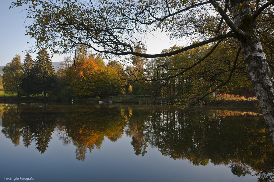 Am Ringwiler Weiher