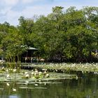 am Rio Dulce - Guatemala