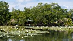 am Rio Dulce - Guatemala